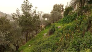 قصيدة لبنان لأنور الموسى مغناة…
